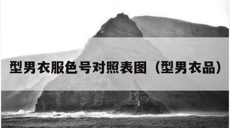 型男衣服色号对照表图（型男衣品）