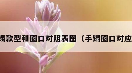 手镯款型和圈口对照表图（手镯圈口对应图）
