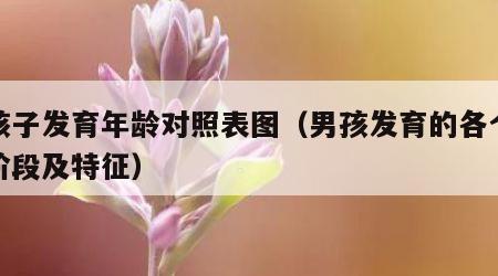 男孩子发育年龄对照表图（男孩发育的各个年龄阶段及特征）