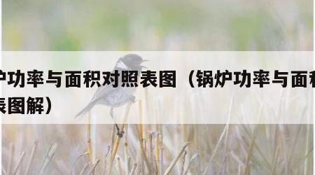 锅炉功率与面积对照表图（锅炉功率与面积对照表图解）