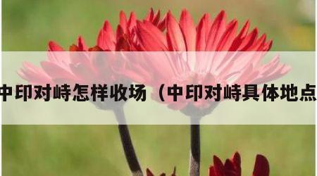 中印对峙怎样收场（中印对峙具体地点）