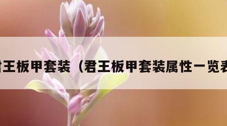 君王板甲套装（君王板甲套装属性一览表）