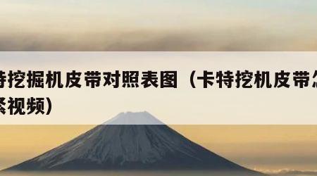卡特挖掘机皮带对照表图（卡特挖机皮带怎么调紧视频）