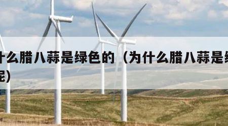 为什么腊八蒜是绿色的（为什么腊八蒜是绿色的呢）