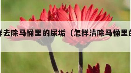 怎样去除马桶里的尿垢（怎样清除马桶里的尿垢）