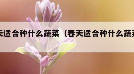 春天适合种什么蔬菜（春天适合种什么蔬菜图片）