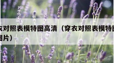 穿衣对照表模特图高清（穿衣对照表模特图高清图片）