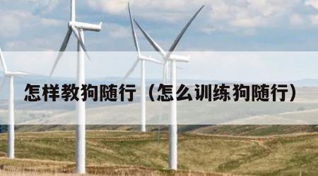 怎样教狗随行（怎么训练狗随行）