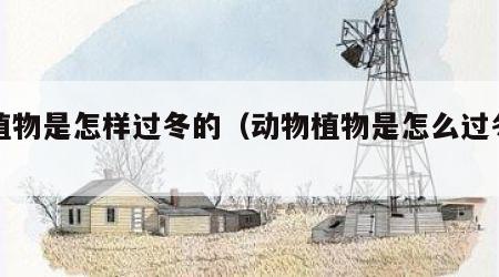 动植物是怎样过冬的（动物植物是怎么过冬的?）
