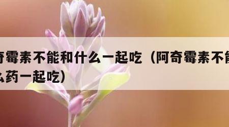 阿奇霉素不能和什么一起吃（阿奇霉素不能跟什么药一起吃）