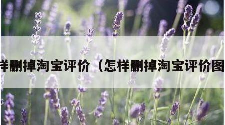 怎样删掉淘宝评价（怎样删掉淘宝评价图片）