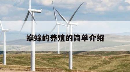 蟾蜍的养殖的简单介绍