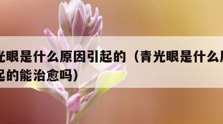 青光眼是什么原因引起的（青光眼是什么原因引起的能治愈吗）