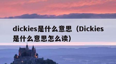 dickies是什么意思（Dickies是什么意思怎么读）
