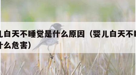 婴儿白天不睡觉是什么原因（婴儿白天不睡觉有什么危害）