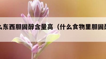 什么东西胆固醇含量高（什么食物里胆固醇高）