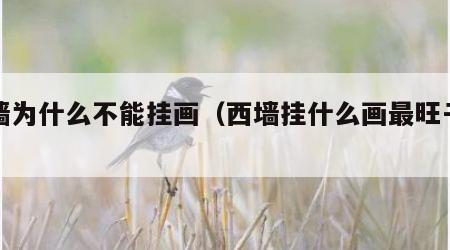 西墙为什么不能挂画（西墙挂什么画最旺子孙）