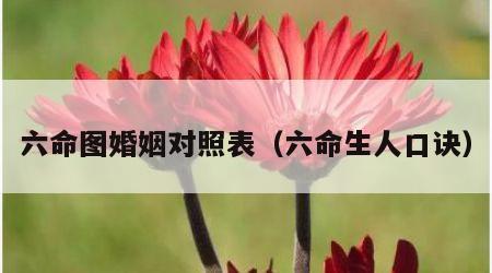 六命图婚姻对照表（六命生人口诀）