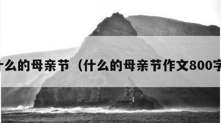 什么的母亲节（什么的母亲节作文800字）