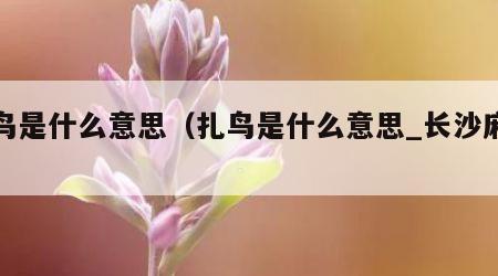 扎鸟是什么意思（扎鸟是什么意思_长沙麻将）