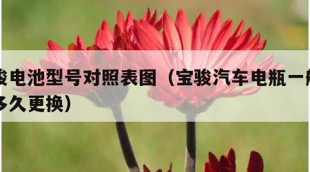 宝骏电池型号对照表图（宝骏汽车电瓶一般能用多久更换）