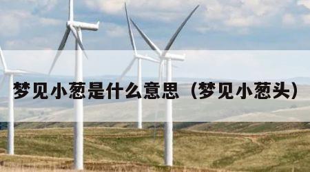 梦见小葱是什么意思（梦见小葱头）