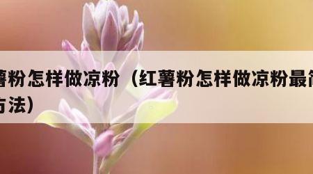 红薯粉怎样做凉粉（红薯粉怎样做凉粉最简单的方法）