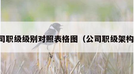 公司职级级别对照表格图（公司职级架构图）