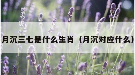 月沉三七是什么生肖（月沉对应什么）