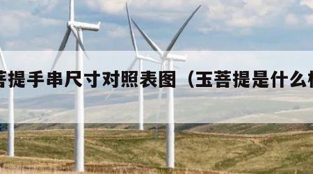 玉菩提手串尺寸对照表图（玉菩提是什么样子）