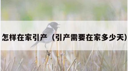 怎样在家引产（引产需要在家多少天）