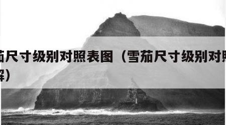 雪茄尺寸级别对照表图（雪茄尺寸级别对照表图解）