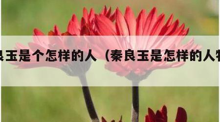 秦良玉是个怎样的人（秦良玉是怎样的人物形象）