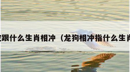 蛇跟什么生肖相冲（龙狗相冲指什么生肖）