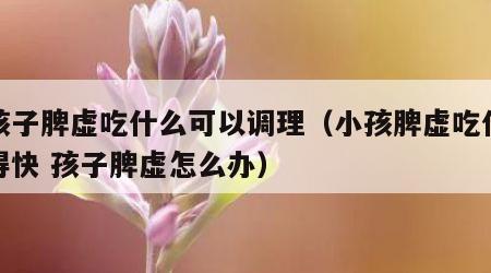 小孩子脾虚吃什么可以调理（小孩脾虚吃什么好得快 孩子脾虚怎么办）