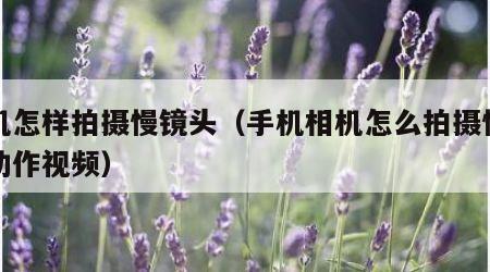 手机怎样拍摄慢镜头（手机相机怎么拍摄慢镜头动作视频）