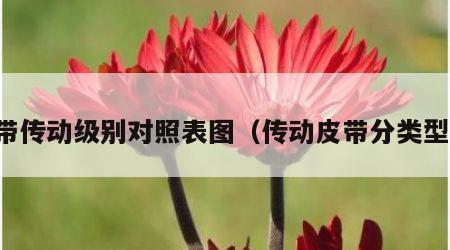 皮带传动级别对照表图（传动皮带分类型号）