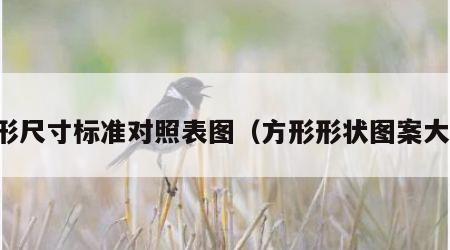 方形尺寸标准对照表图（方形形状图案大全）