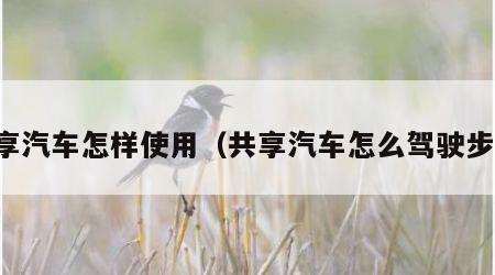 共享汽车怎样使用（共享汽车怎么驾驶步骤）