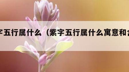紫字五行属什么（紫字五行属什么寓意和含义）