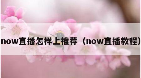 now直播怎样上推荐（now直播教程）