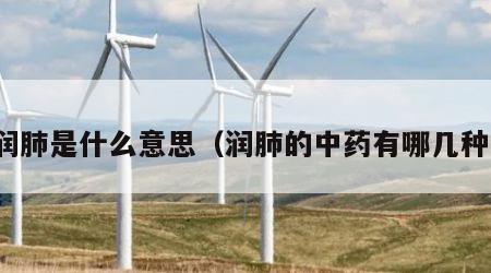 润肺是什么意思（润肺的中药有哪几种）