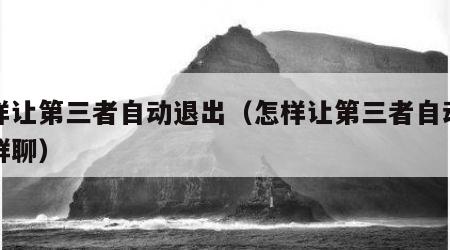 怎样让第三者自动退出（怎样让第三者自动退出群聊）
