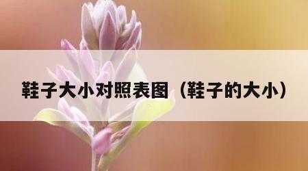 鞋子大小对照表图（鞋子的大小）