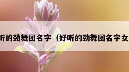 好听的劲舞团名字（好听的劲舞团名字女生）