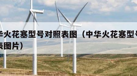 中华火花塞型号对照表图（中华火花塞型号对照表图片）