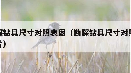 勘探钻具尺寸对照表图（勘探钻具尺寸对照表图片）