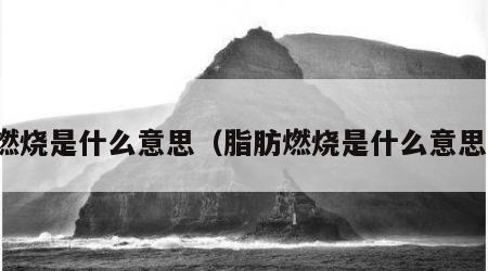 燃烧是什么意思（脂肪燃烧是什么意思）