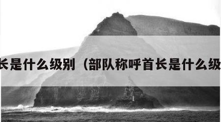 首长是什么级别（部队称呼首长是什么级别）