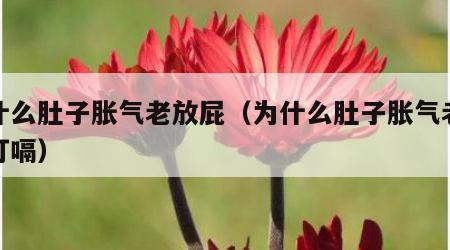 为什么肚子胀气老放屁（为什么肚子胀气老放屁打嗝）